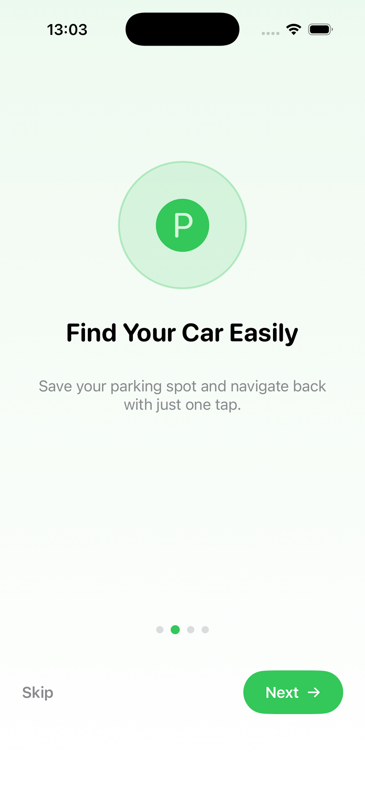 ParkTick Screenshot